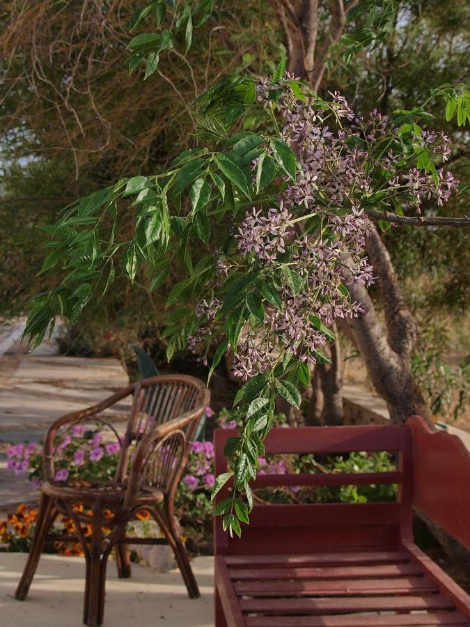 Flower And Crafts - The Eco Nature House Monólithos Dış mekan fotoğraf